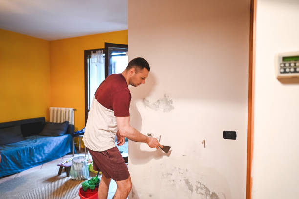 Best HVAC Mold Remediation in Meadow Les, AK